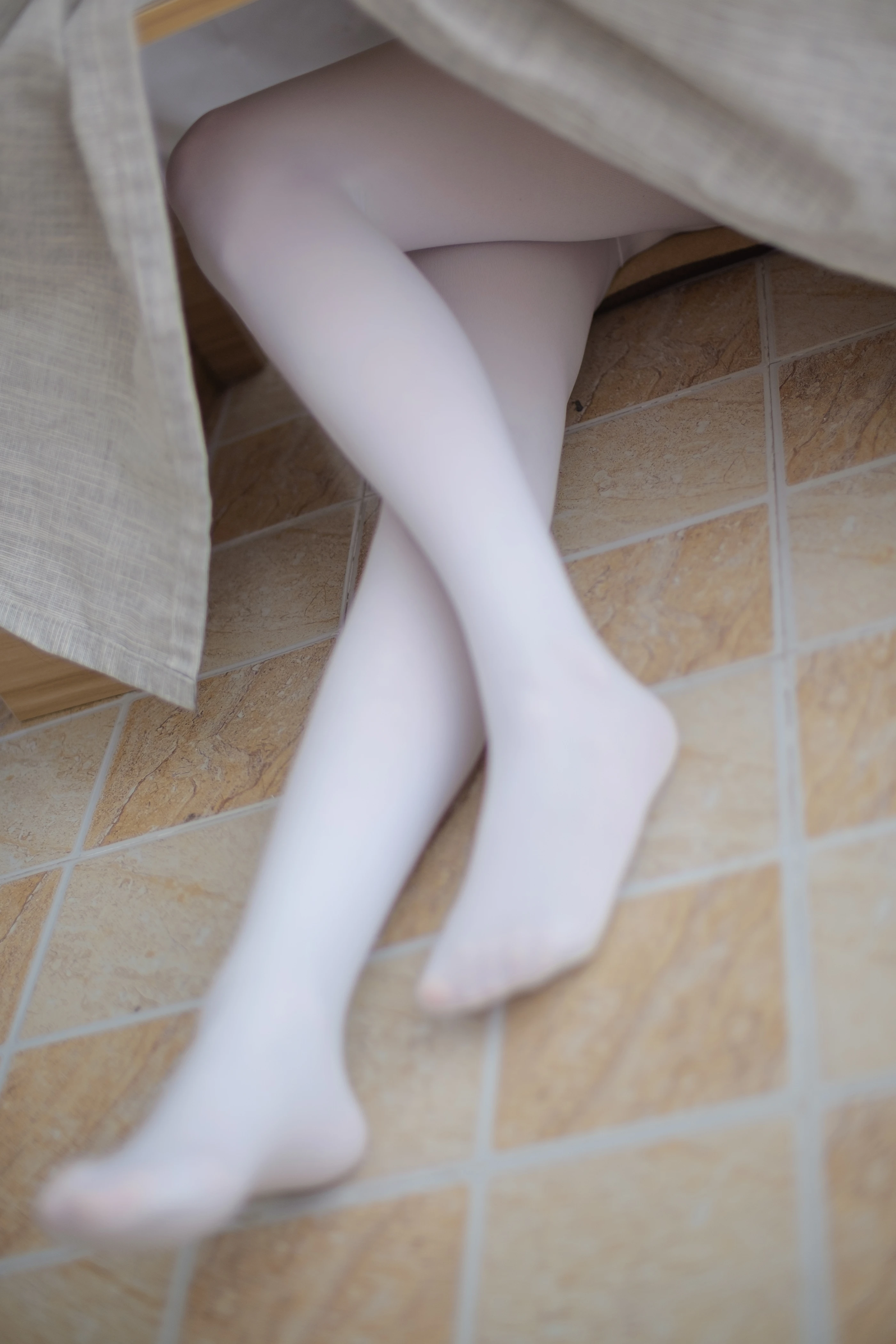 森萝财团 [R15-010] 羞嗒嗒的白丝MM [94P]插图8